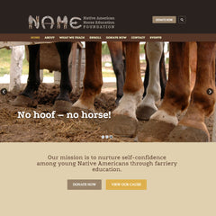 Native American Horse Education Foundation